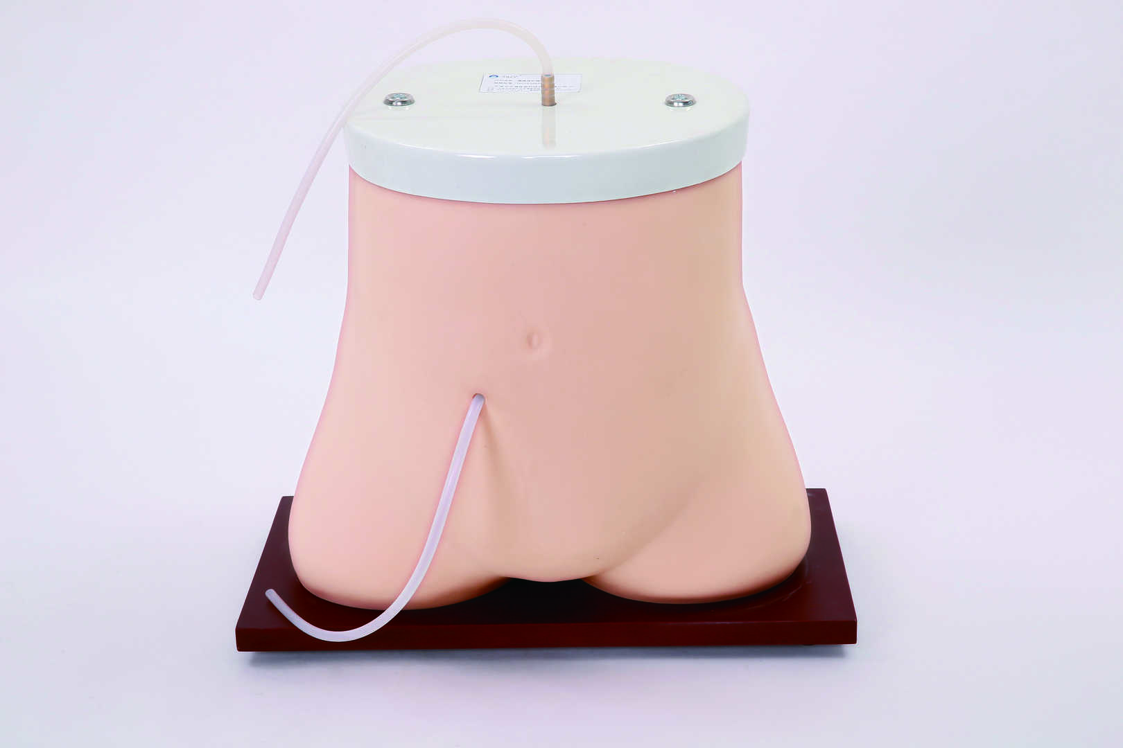 Peritoneal Dialysis Model