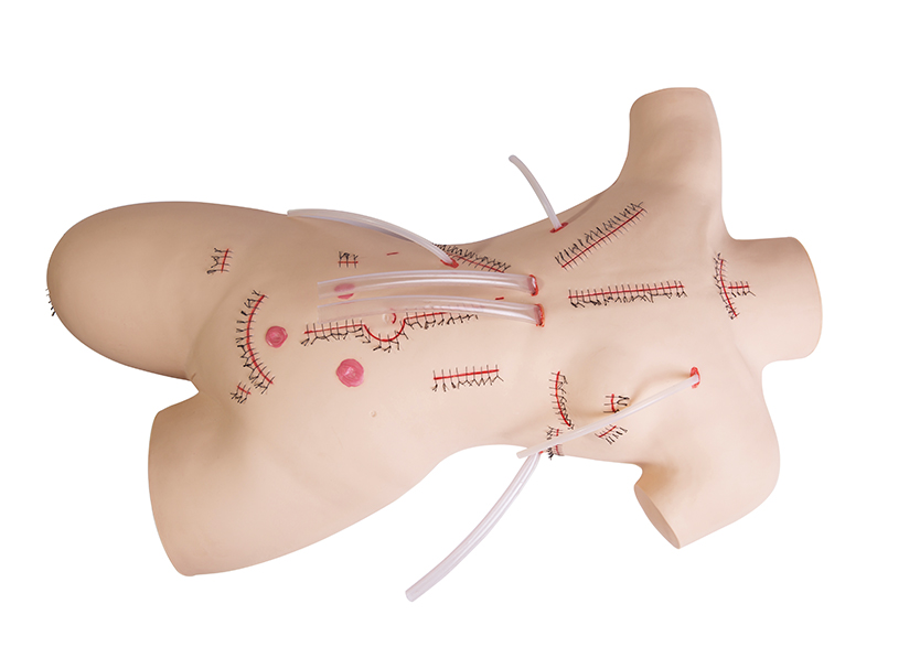 術(shù)前無(wú)菌操作訓練仿真模型人